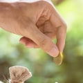 Everything You Need to Know About Refinancing Your Home Loan
